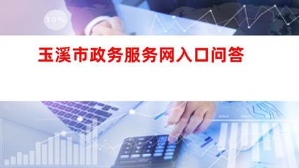 玉溪市政務服務網入口及信息技術咨詢服務全指南